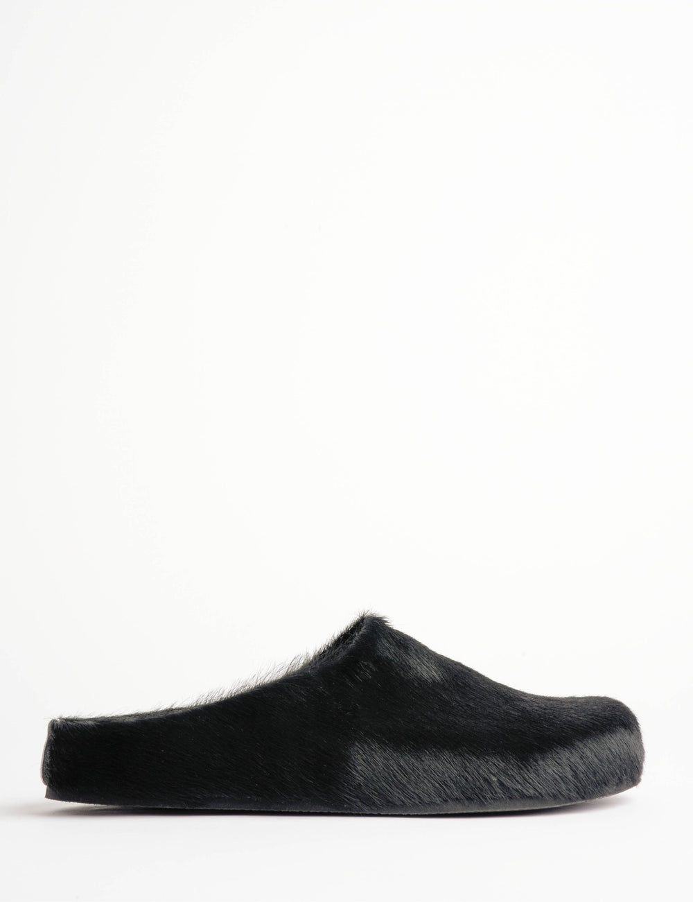 Arctic Pony Slide