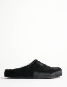 Arctic Pony Slide