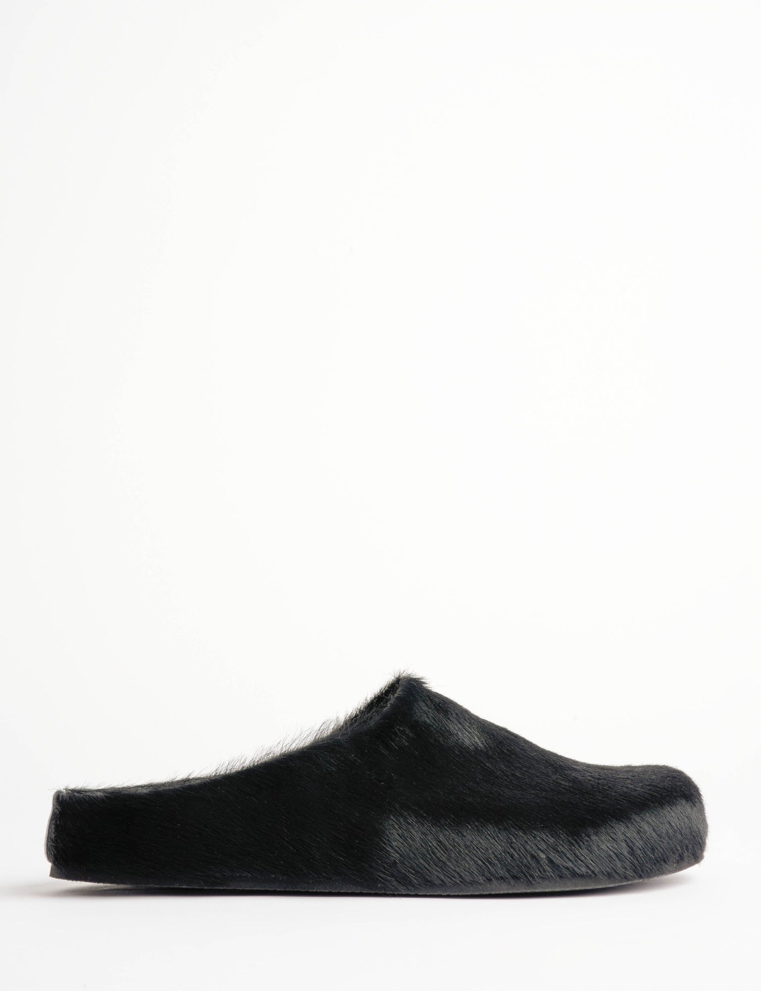 Arctic Pony Slide