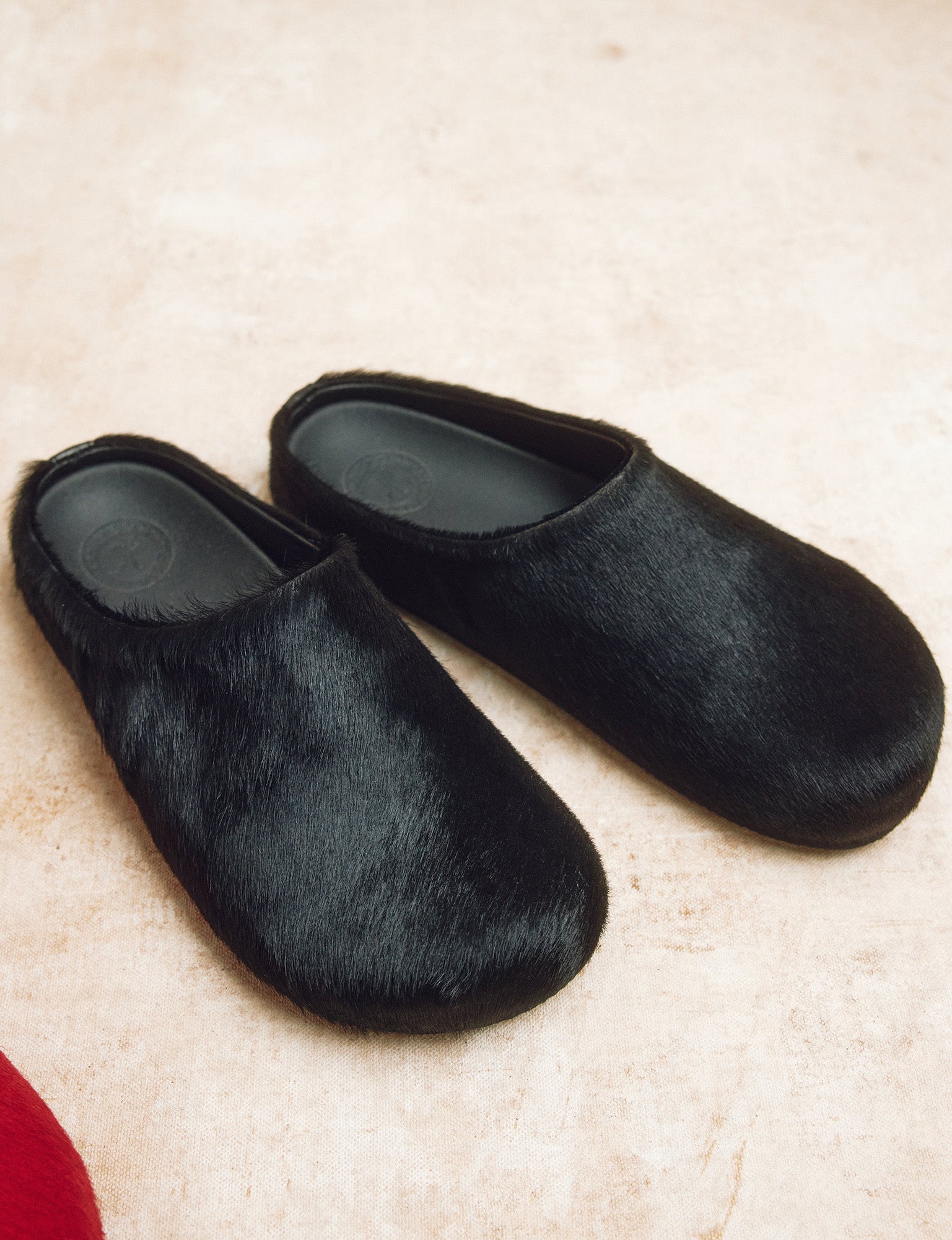 Arctic Pony Slide