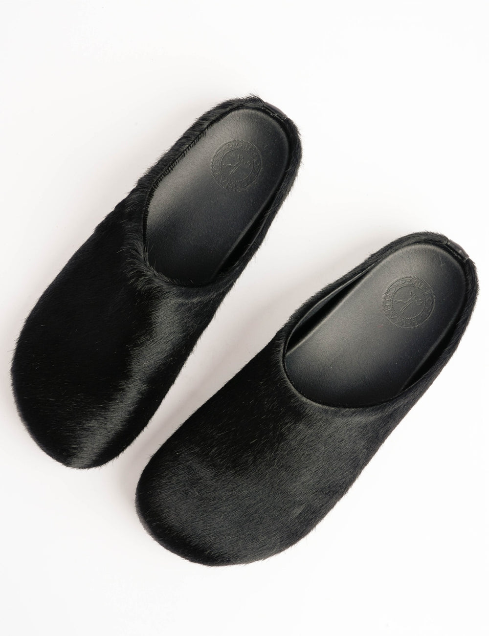 Arctic Pony Slide