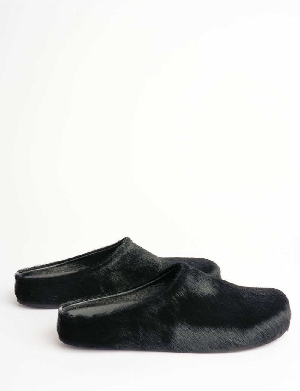 Arctic Pony Slide