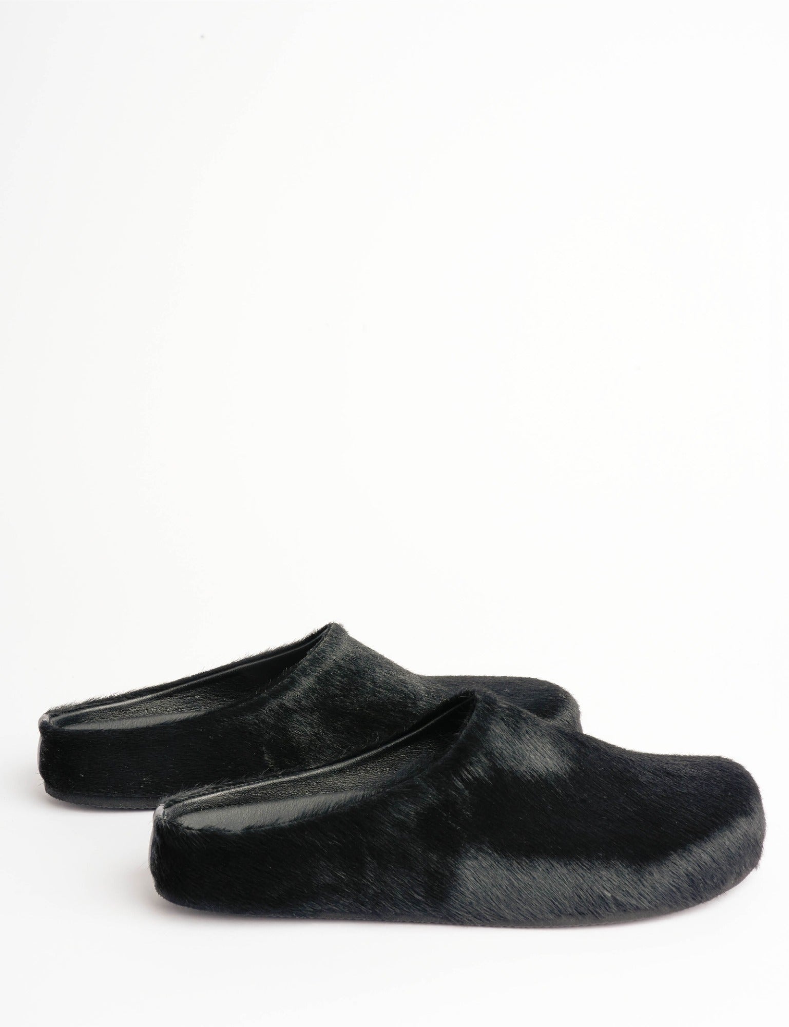 Arctic Pony Slide