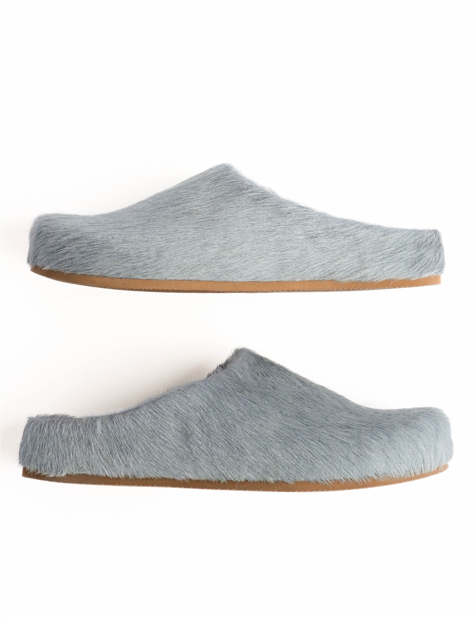 Arctic Pony Slide