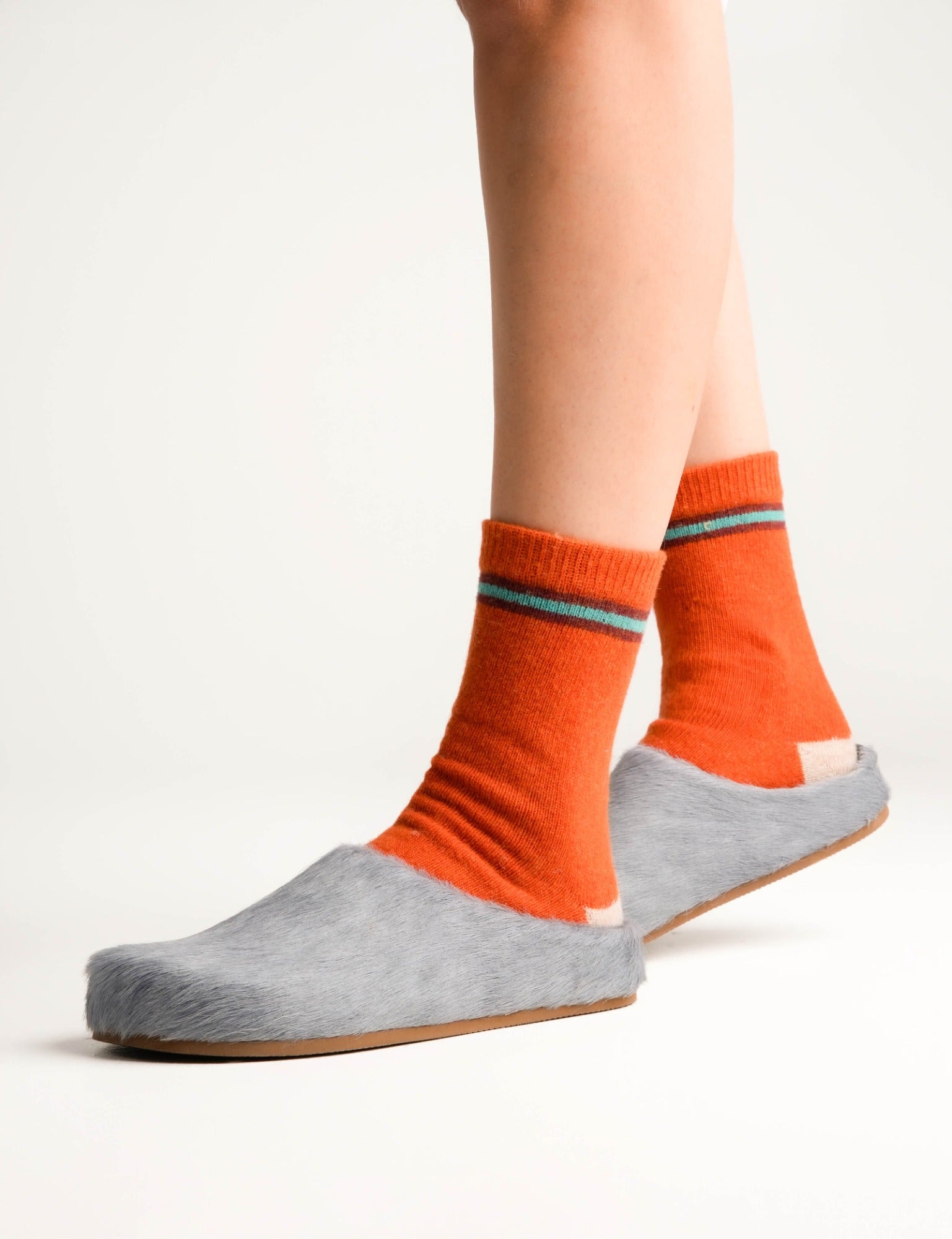 Arctic Pony Slide