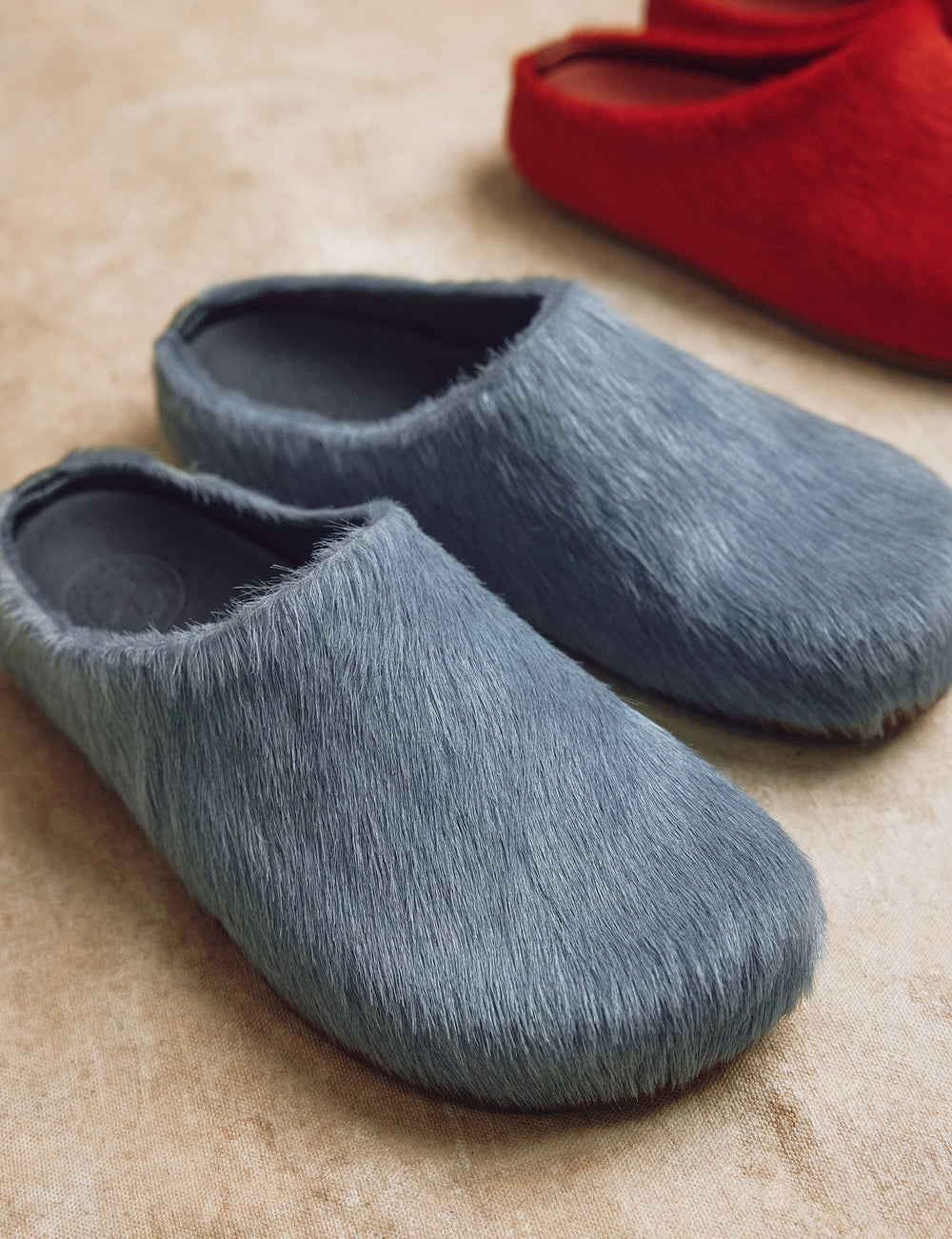 Arctic Pony Slide